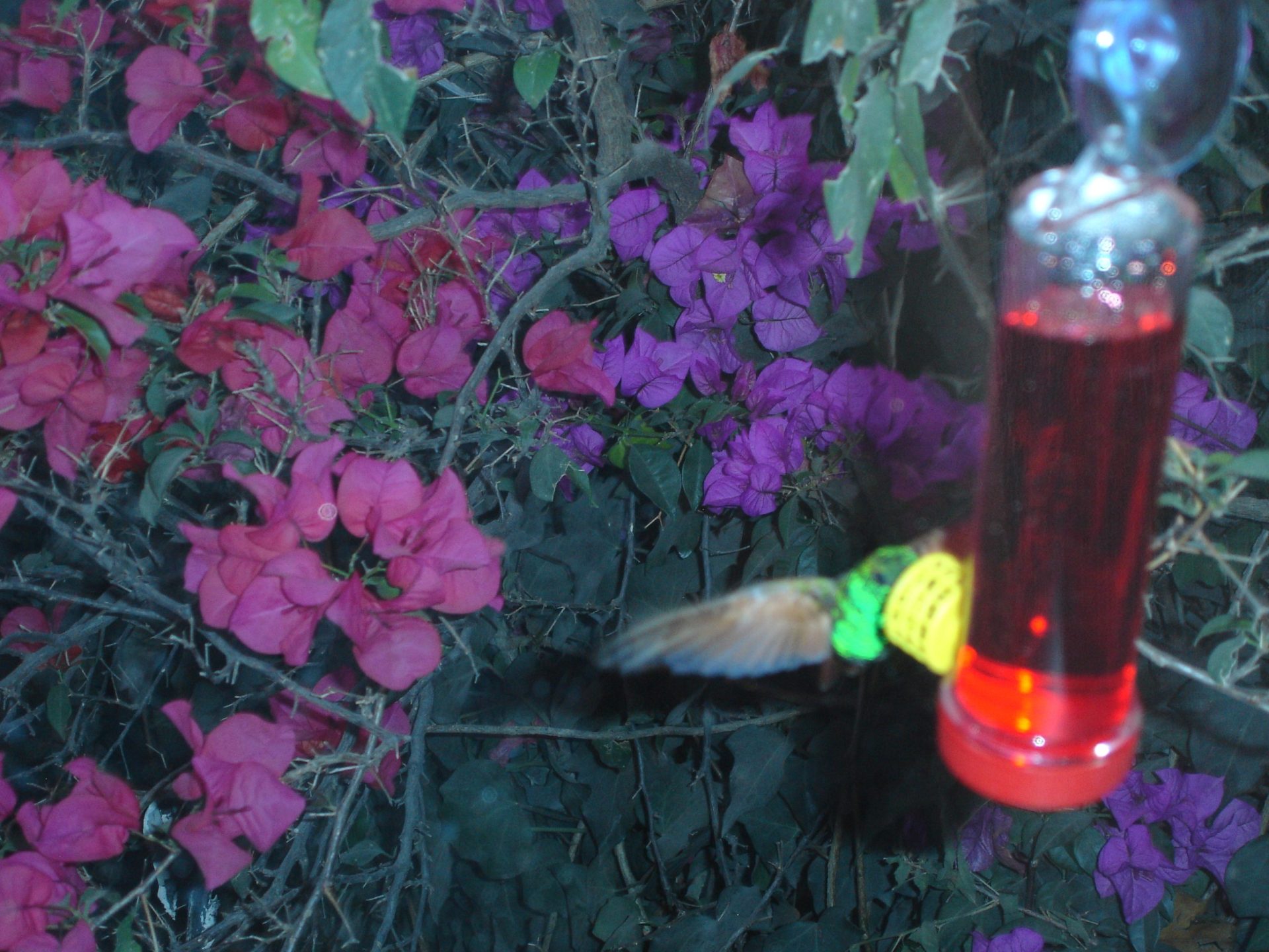 Malos hábitos alimenticios