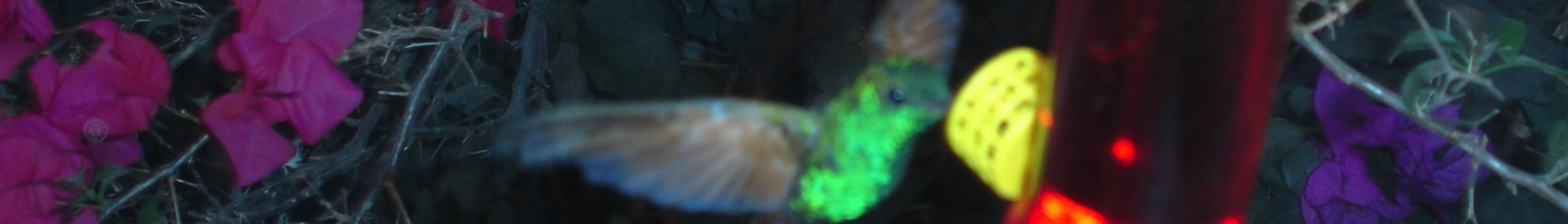 Tú castigas? Te funciona?