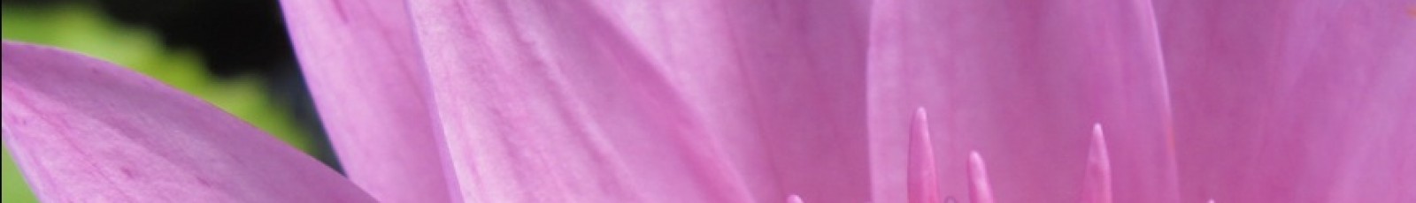 Mi hijo adolescente odia la Navidad