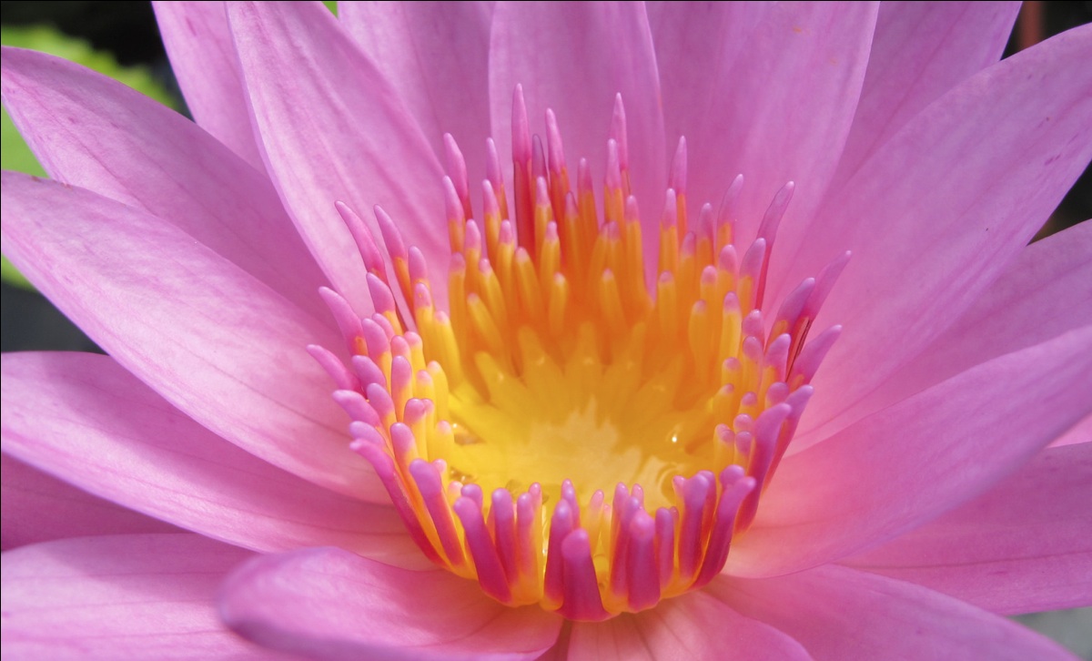 Alto al Bullying!!!!