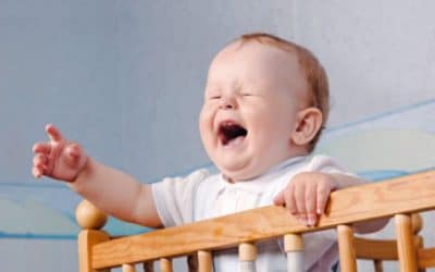 La angustia de separación